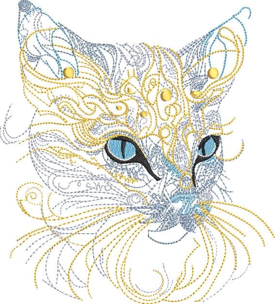 BFC31860  Intense Feline Stare