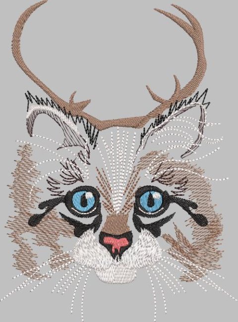 BFC31997 Reindeer Kitty