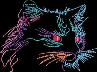 BFC32011 Pyschedelic Cat