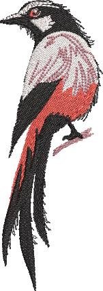 BFC32270 Red Bird Two