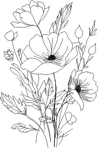 BFC32284 Boho Poppies