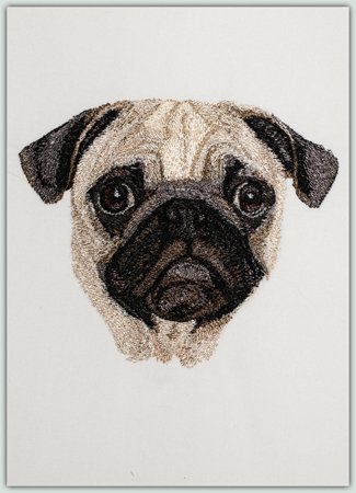 A Pug
