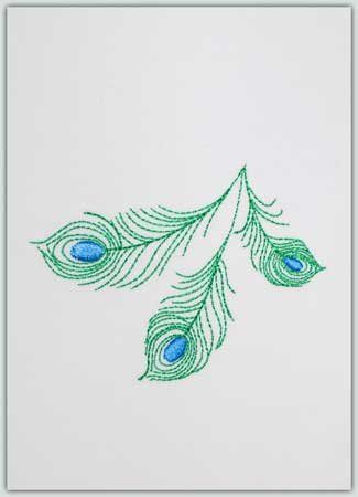 Peacock Feathers