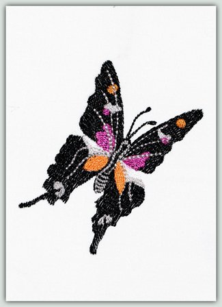 Black & Orange Butterfly
