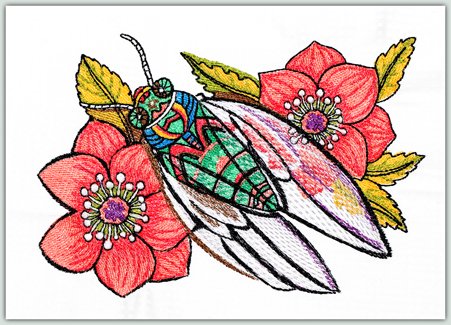 Ching Chou's Cicada