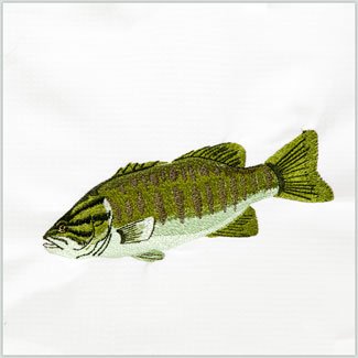 Bass