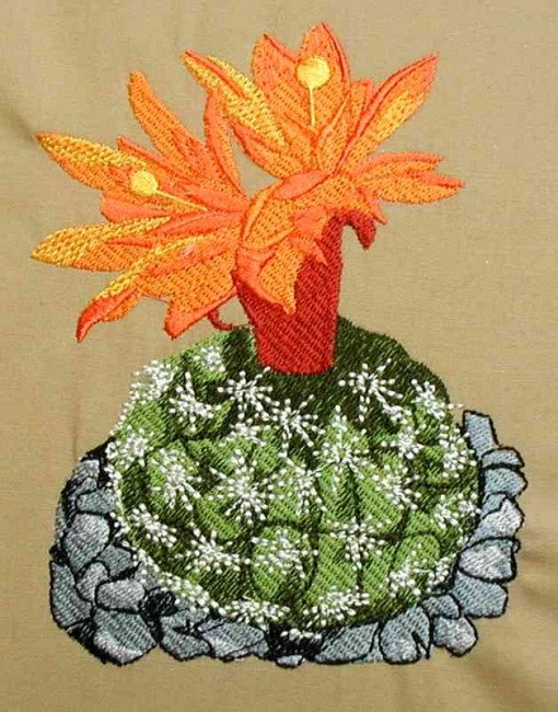 BFC0143 Flowering Cactus