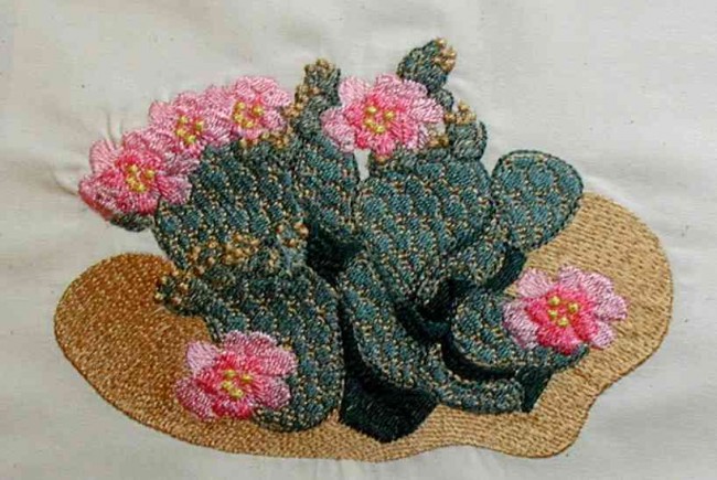 BFC0143 Flowering Cactus