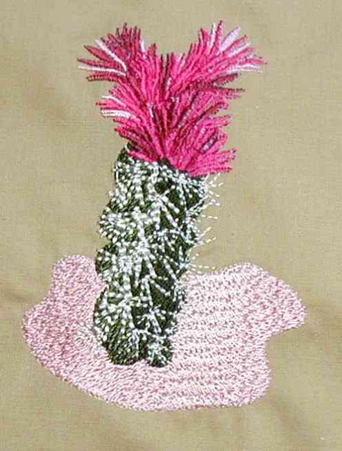 BFC0143 Flowering Cactus