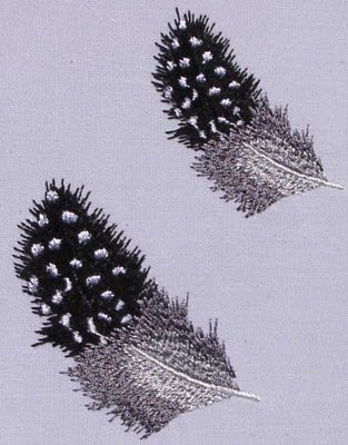 CCQM002 - Guinea Fowl Feathers