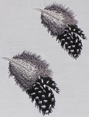 CCQM002 - Guinea Fowl Feathers