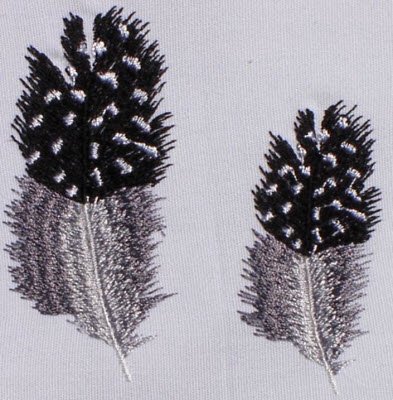 CCQM002 - Guinea Fowl Feathers