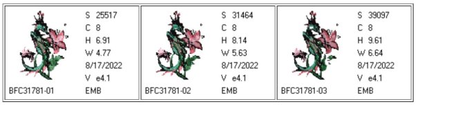 BFC31781 Flowery Winged Seahorse