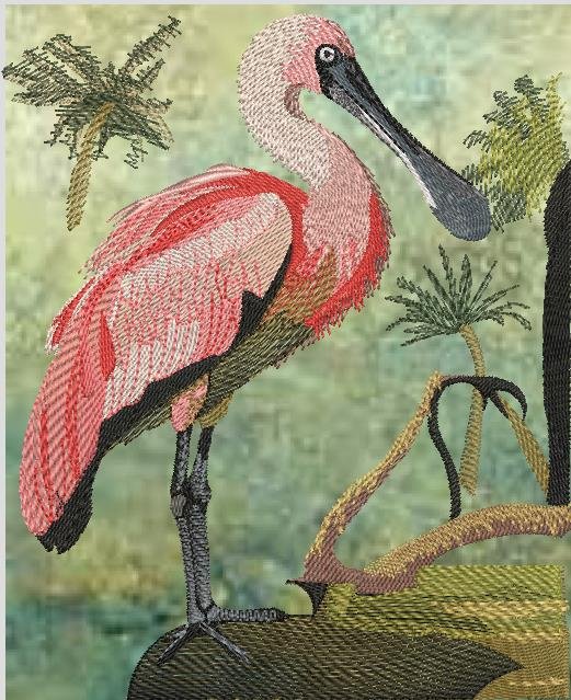 BFC2163 The Spoonbill