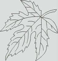 BFC1011 Waterfall of the Leaves Art Quilt