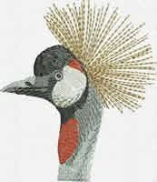 BFC1029 Large Gray Crowned Gray Crane