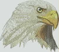 BFC1072 Large Eagle