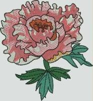 BFC1084 Ching Chou's Flower Ladies