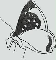 BFC1155 QIH Blackwork Birds and Butterflies Quilt Blocks