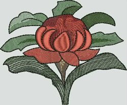 BFC1243 Waratah Rose Window