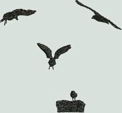 BFC1255 Bird Silhouettes