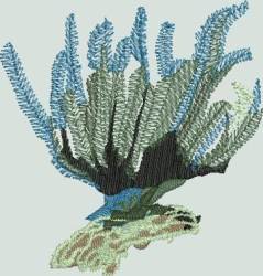 BFC1333 Sea Turtle Seascape