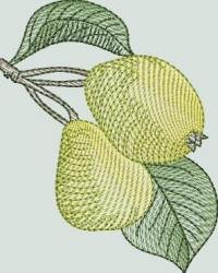 BFC1350 Botanical Fruit Woodcuts Quilt Blocks