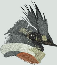 BFC1378 Large Kingfisher