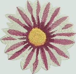 BFC1471 Gazania