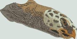 BFC1491 Endangered Species Series - Hawksbill Turtle