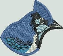 BFC1523 FSL Winter Birds