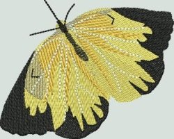 BFC1546 Butterfly Handbag