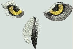 BFC1564 Four Black and White Owl Portraits