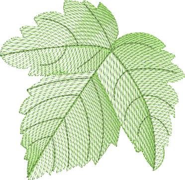 BFC1588 Backgrounds - Summer Leaves