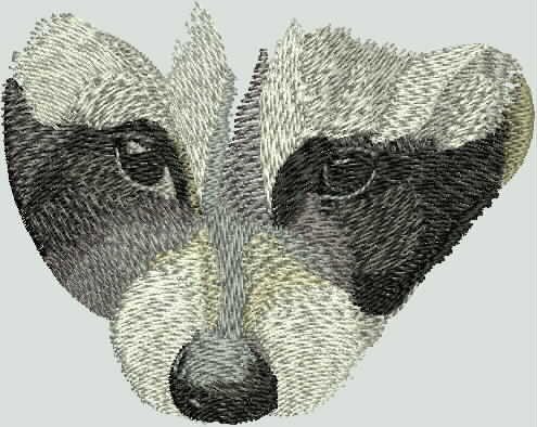 BFC1600 Large Baby Raccoon
