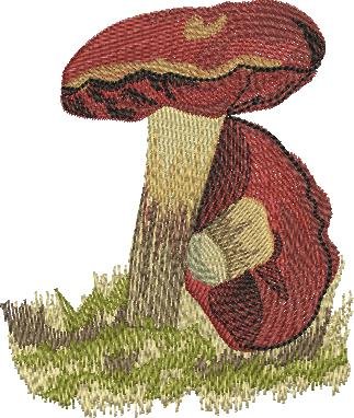 BFC1661 Vintage Mushrooms
