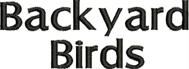 BFC1868 Backyard Bird Portraits