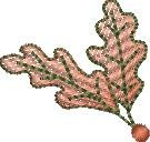 BFC1925 QIH or Reg Leafy Quilt Squares