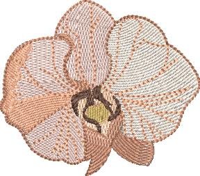 BFC1965 Boho Flowers and Leaves