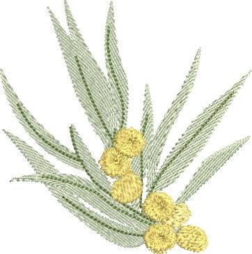 BFC2077 Flowers of Australia