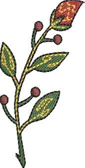 BFC2082 Insects with Flowers