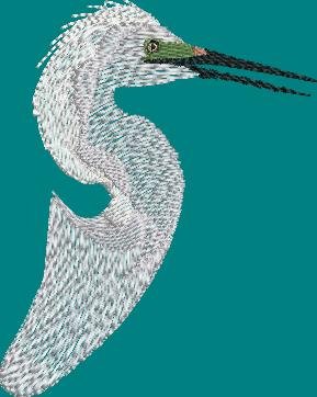 BFC2094 Snowy Egret