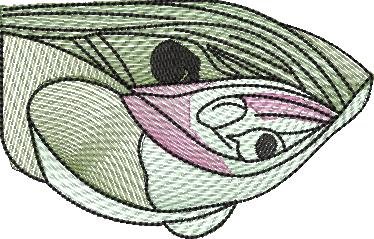 BFC2146 Art Nouveau Quilt Block and Border
