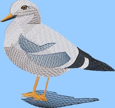 BFC2159 The Seagulls - Part 3