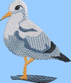 BFC2160 The Seagulls - Part 4