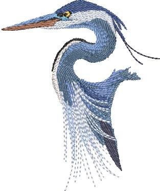 BFC2168 The Great Blue Heron