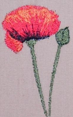BFC0237 Poppies
