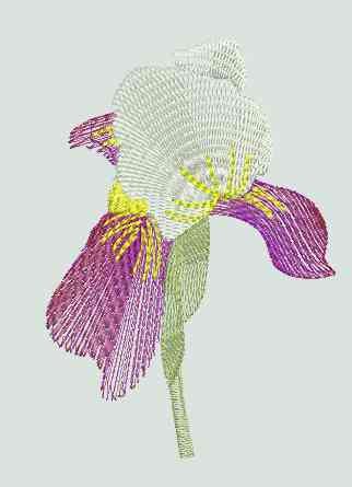 BFC0289 Lace Sculpture - Iris