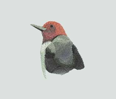 BFC0307 Small Birds