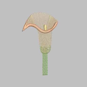 BFC0309 Calla Lilies